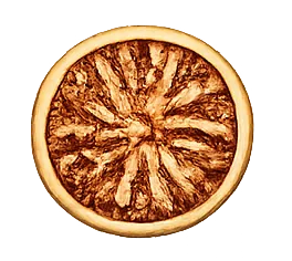 Nutmeg